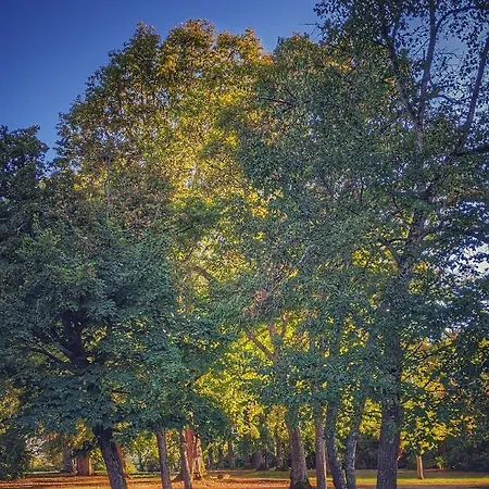 Chateau Des Fousseries Affittacamere