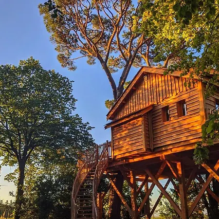 Chateau Des Fousseries 4* Condom