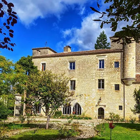 Chateau Des Fousseries 4* Кондом